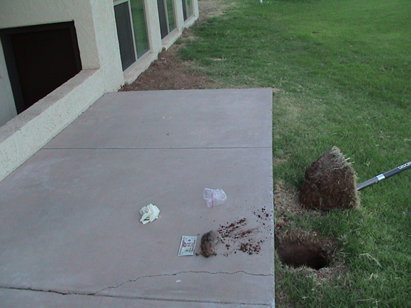 sinkholes and gophers