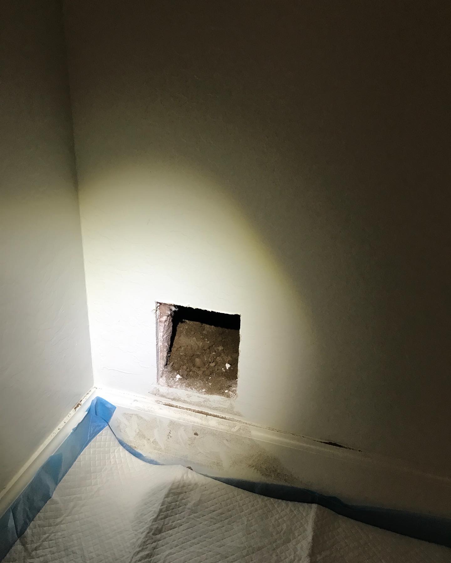 Gopher entry through foundation