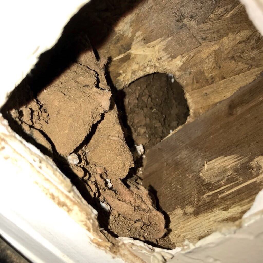 Gopher tunnel through wall structure