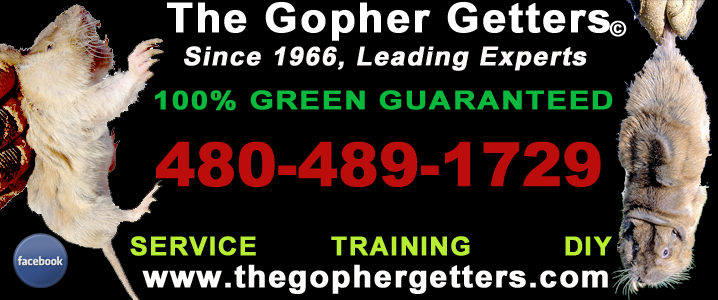 The Gopher Getters Banner